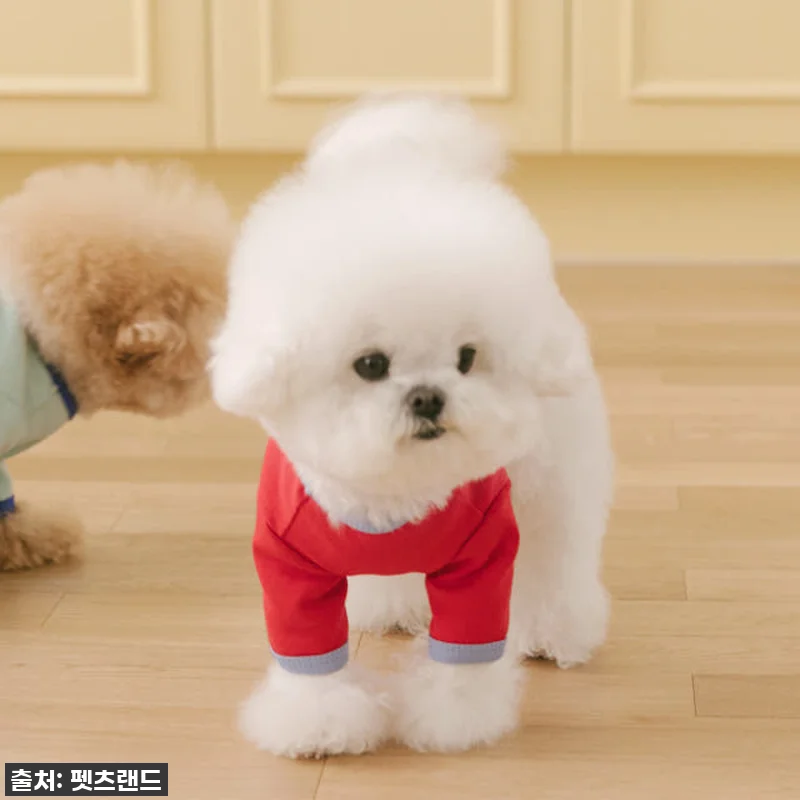찐후기! 몽글이 심쿵 유발 '큐티라벨 관련 이미지 1