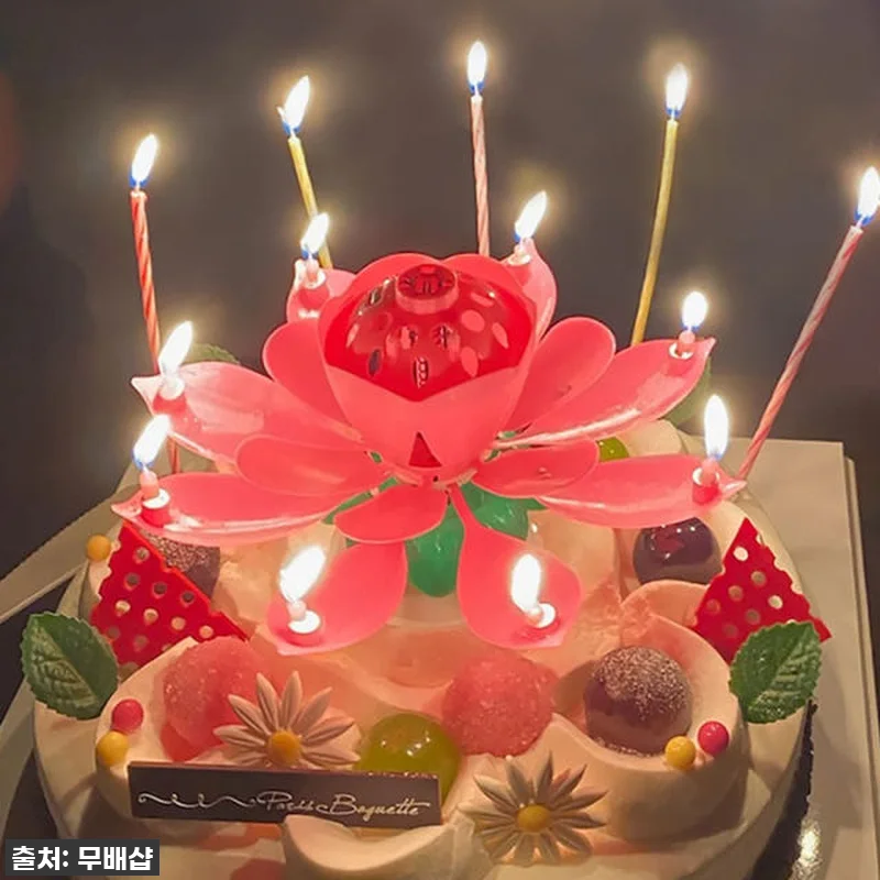 [찐후기] 우리 엄마 생신 파티 대성공! 품절각 '회전 멜로디 연꽃초' 덕분이야!