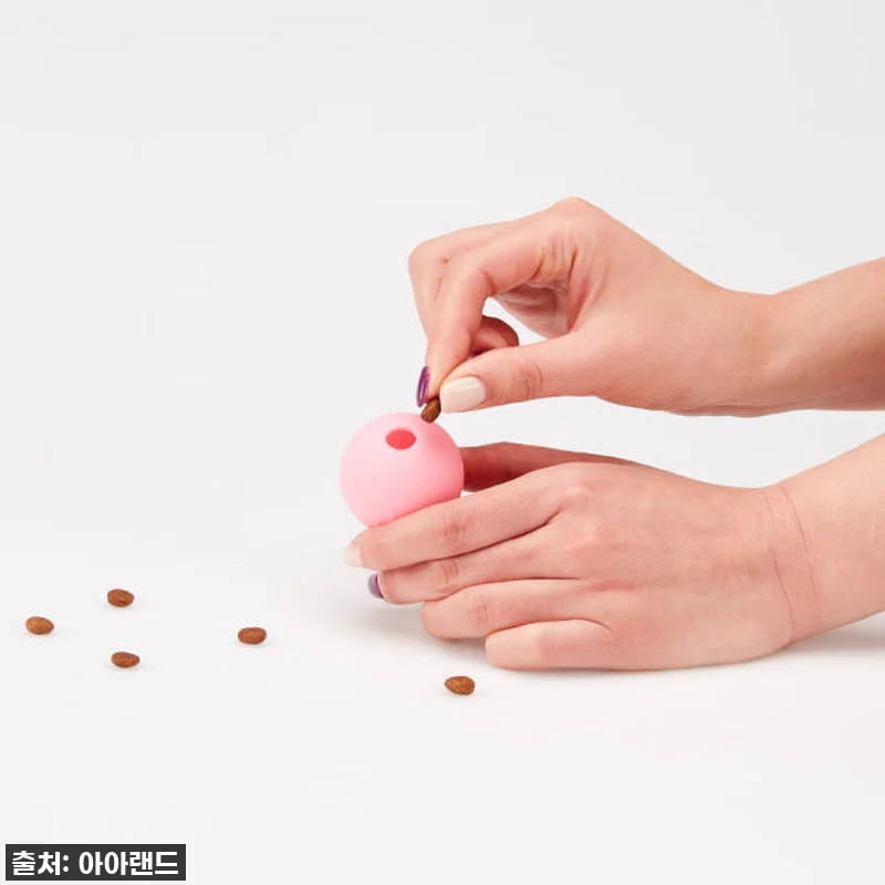 [찐후기] 우리 댕댕이 심심할 틈 없 관련 이미지 2