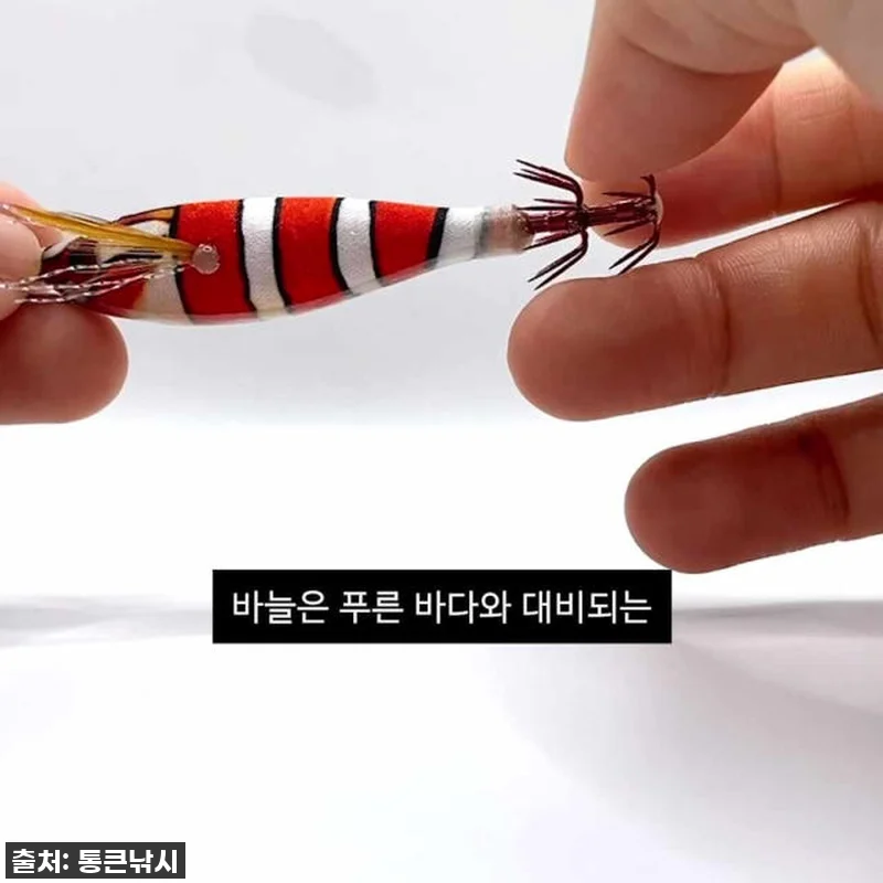 혼키에기 수평 갑오징어 에기 니모 찐 관련 이미지 2