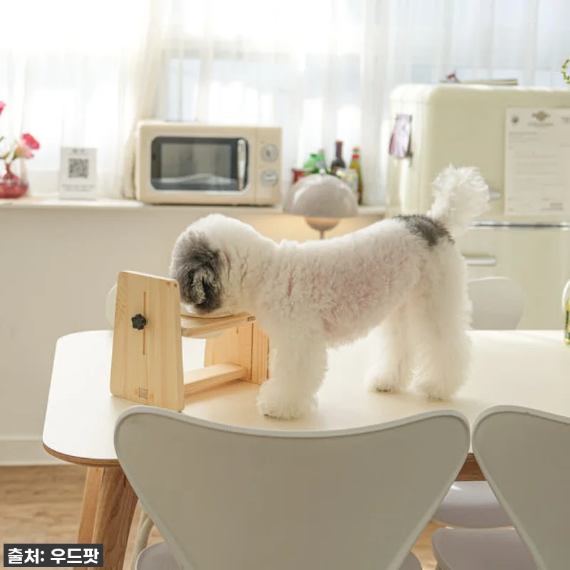 우리집 댕댕이 관절 지킴이! 우드팟 관련 이미지 3