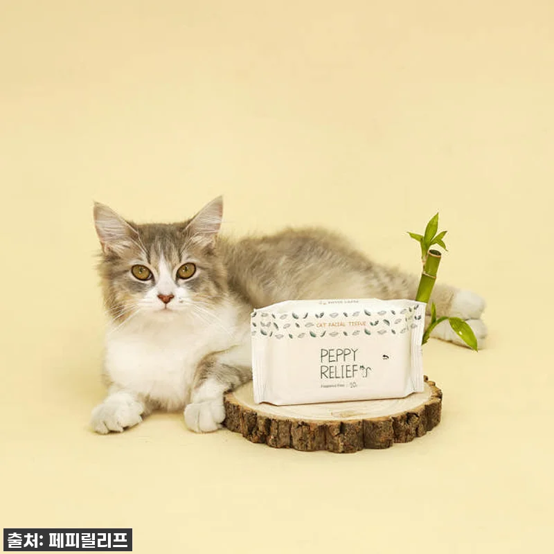 ⭐지금 안 사면 후회!⭐ 냥이 얼굴 관련 이미지 3