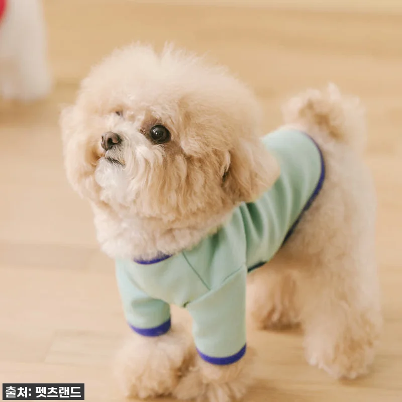찐후기! 몽글이 심쿵 유발 '큐티라벨 관련 이미지 4