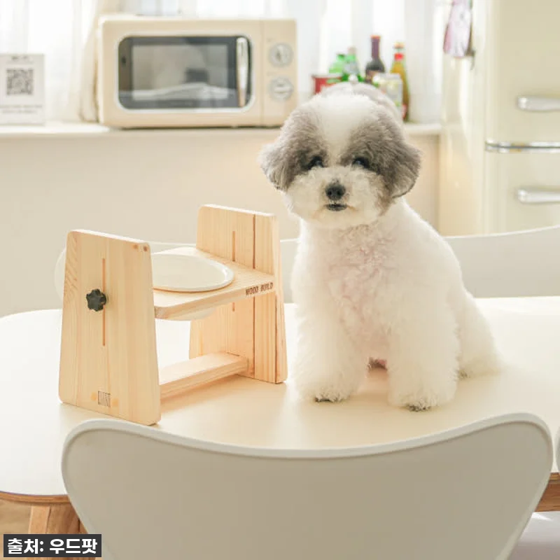 우리집 댕댕이 관절 지킴이! 우드팟 관련 이미지 4