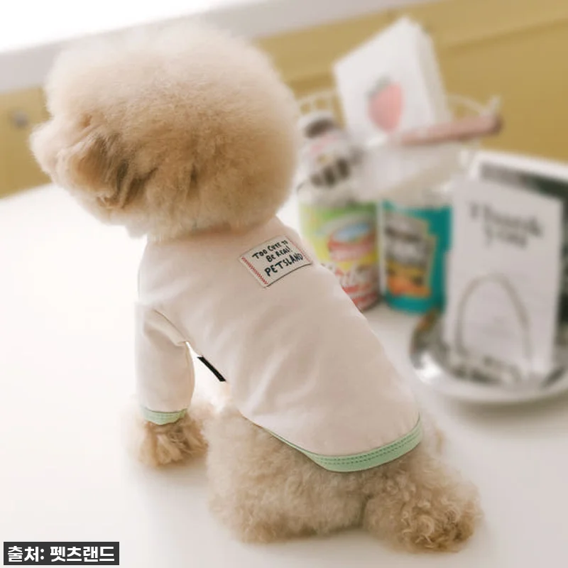 찐후기! 몽글이 심쿵 유발 '큐티라벨 관련 이미지 5