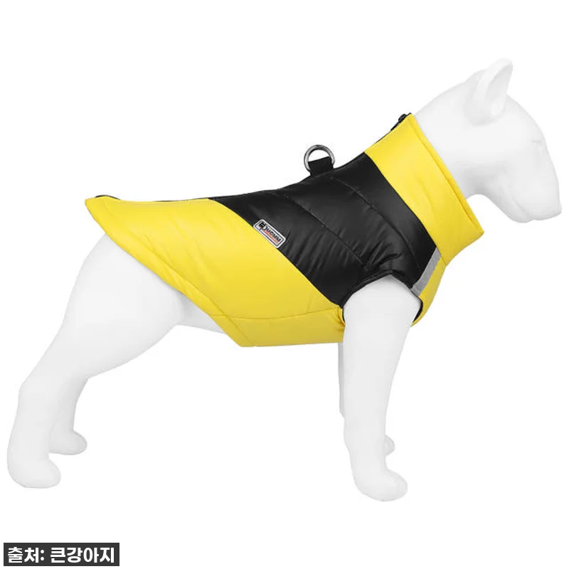 🎁 대형견 패딩, 이 가격 실화? 우 관련 이미지 6