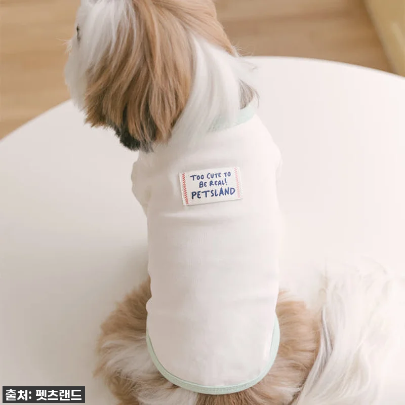 찐후기! 몽글이 심쿵 유발 '큐티라벨 관련 이미지 6