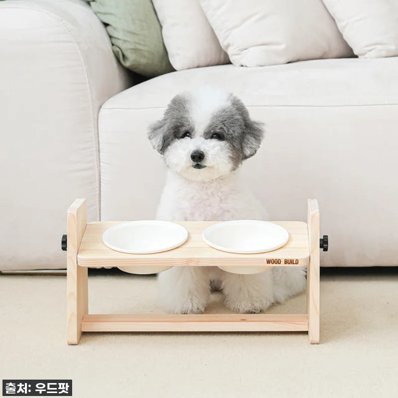우리집 댕댕이 관절 지킴이! 우드팟 관련 이미지 6