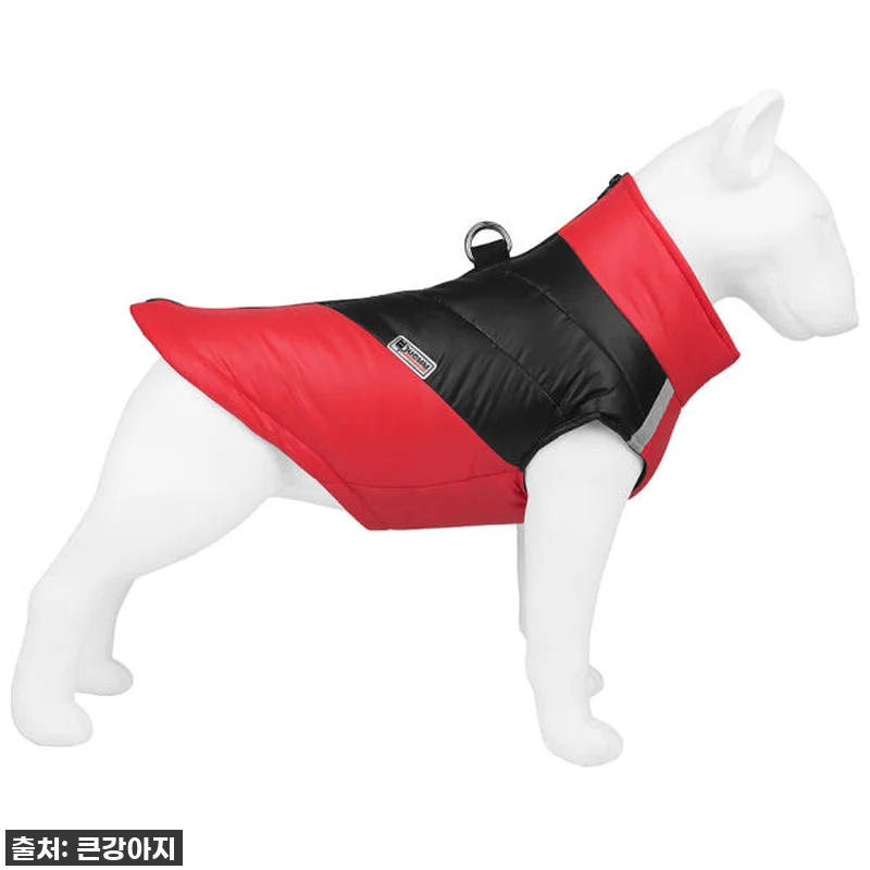 🎁 대형견 패딩, 이 가격 실화? 우 관련 이미지 7