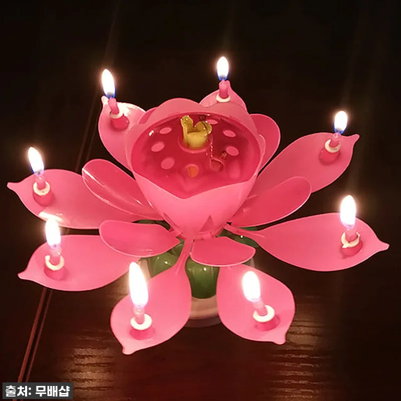 [찐후기] 우리 엄마 생신 파티 대성 관련 이미지 6
