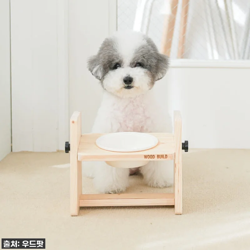 우리집 댕댕이 관절 지킴이! 우드팟 관련 이미지 7