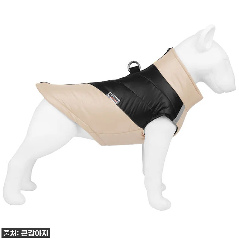🎁 대형견 패딩, 이 가격 실화? 우 관련 이미지 8