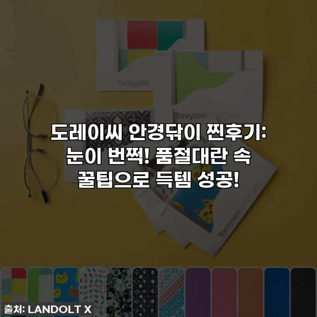 도레이씨 안경닦이 찐후기: 눈이 번쩍! 품절대란 속 꿀팁으로 득템 성공!