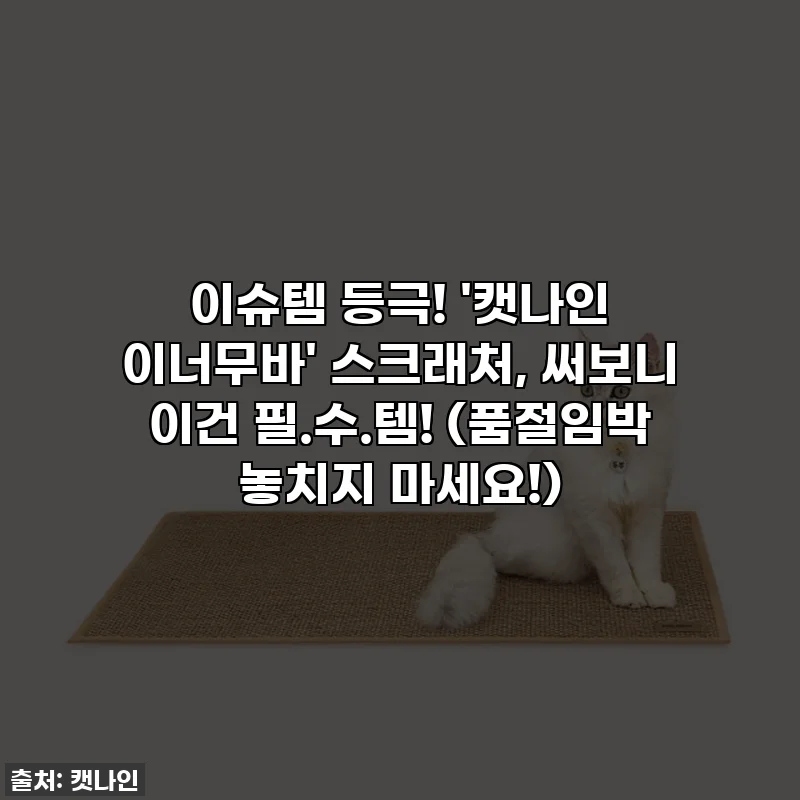 이슈템 등극! '캣나인 이너무바' 스크래처, 써보니 이건 필.수.템! (품절임박 놓치지 마세요!)