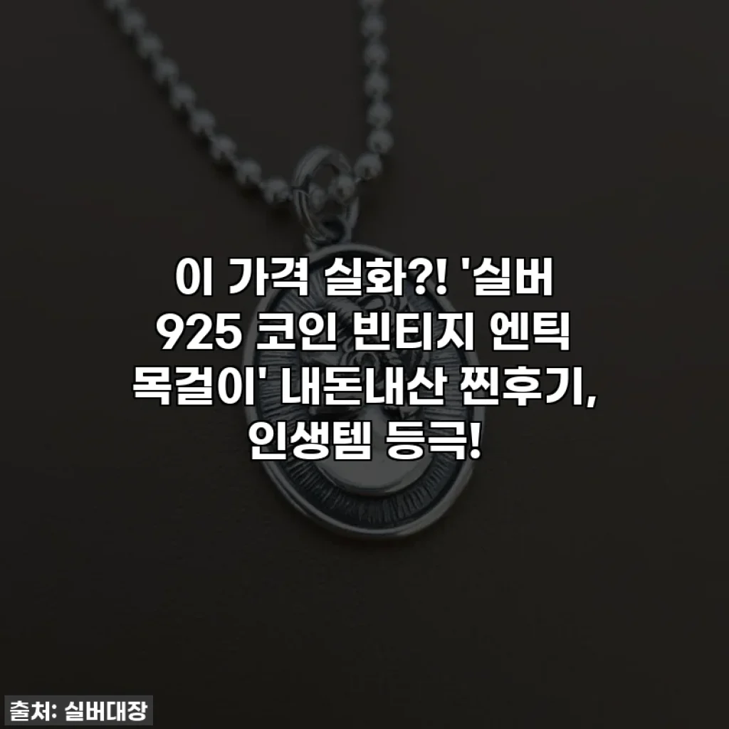 이 가격 실화?! '실버 925 코인 빈티지 엔틱 목걸이' 내돈내산 찐후기, 인생템 등극!
