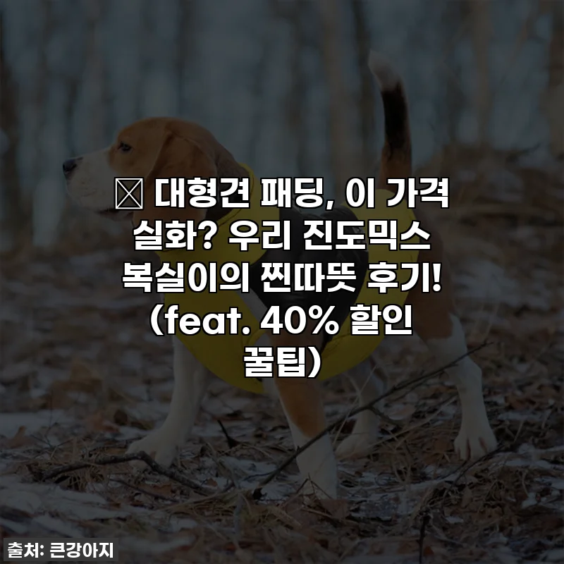 🎁 대형견 패딩, 이 가격 실화? 우리 진도믹스 복실이의 찐따뜻 후기! (feat. 40% 할인 꿀팁)