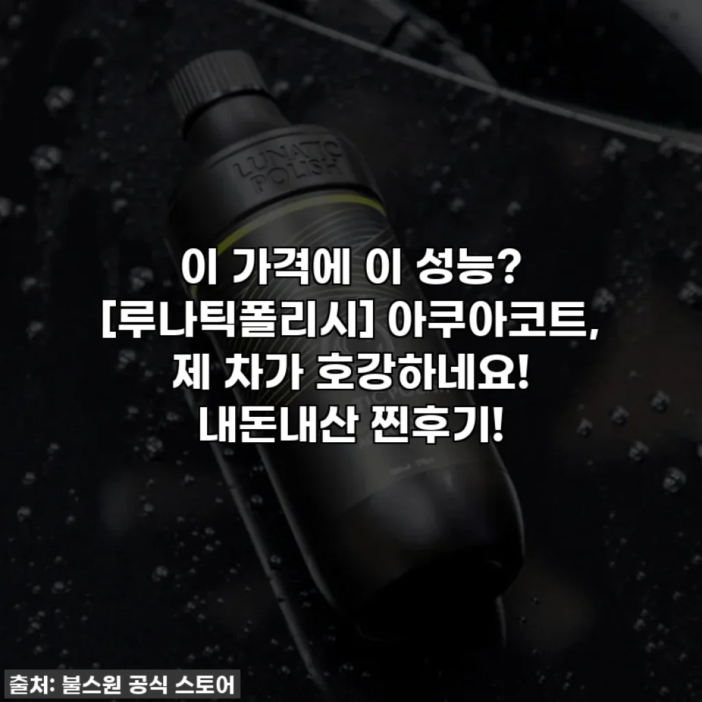 이 가격에 이 성능? [루나틱폴리시] 아쿠아코트, 제 차가 호강하네요! 내돈내산 찐후기!