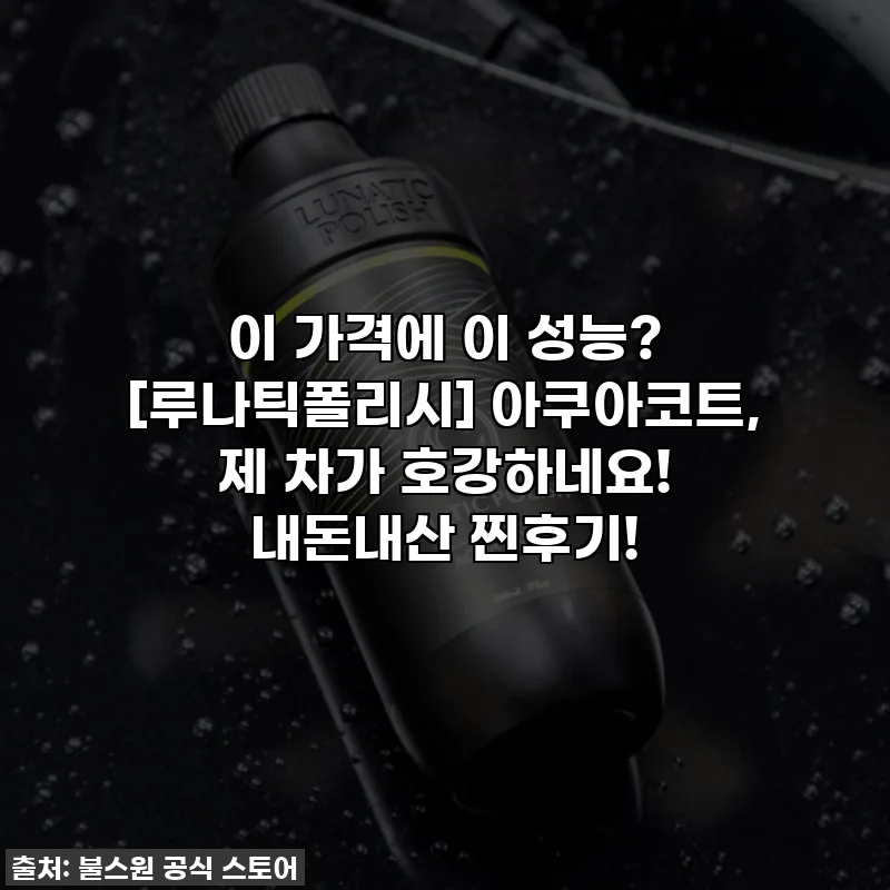 이 가격에 이 성능? [루나틱폴리시] 아쿠아코트, 제 차가 호강하네요! 내돈내산 찐후기!
