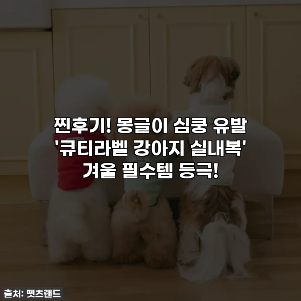 찐후기! 몽글이 심쿵 유발 '큐티라벨 강아지 실내복' 겨울 필수템 등극!