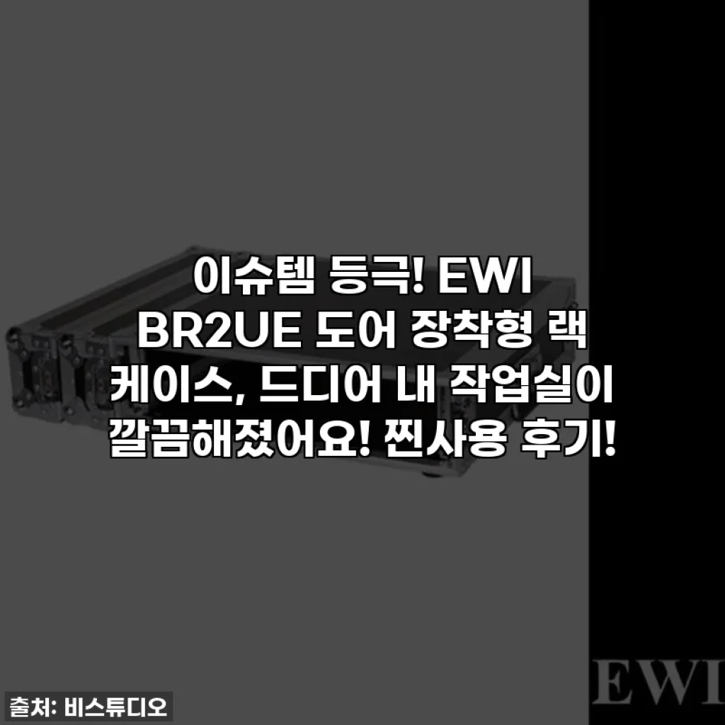 이슈템 등극! EWI BR2UE 도어 장착형 랙 케이스, 드디어 내 작업실이 깔끔해졌어요! 찐사용 후기!