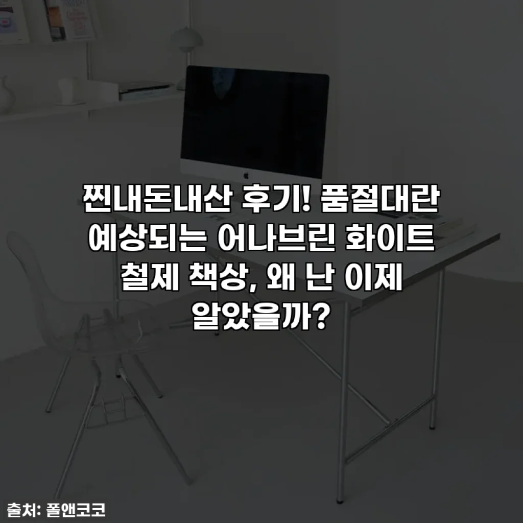 찐내돈내산 후기! 품절대란 예상되는 어나브린 화이트 철제 책상, 왜 난 이제 알았을까?