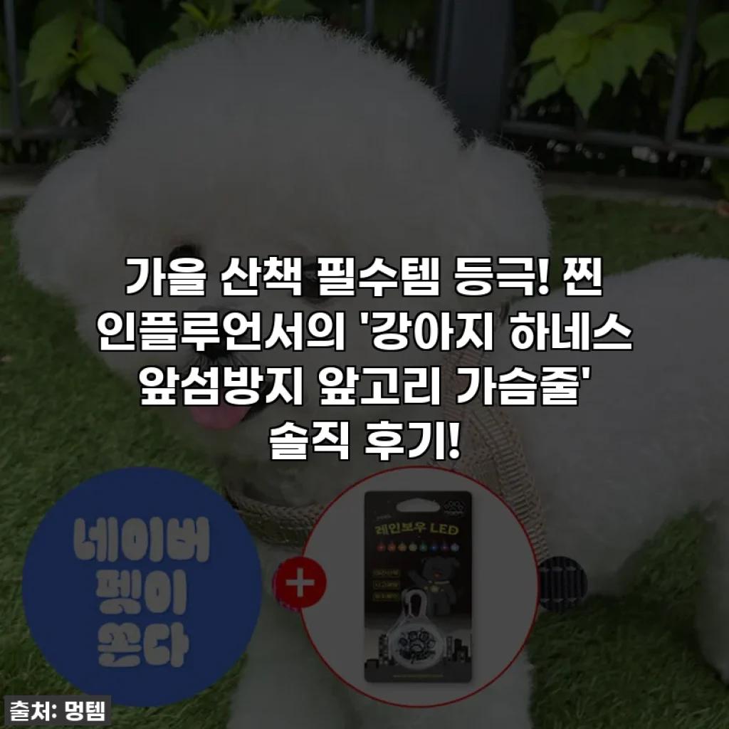 가을 산책 필수템 등극! 찐 인플루언서의 '강아지 하네스 앞섬방지 앞고리 가슴줄' 솔직 후기!