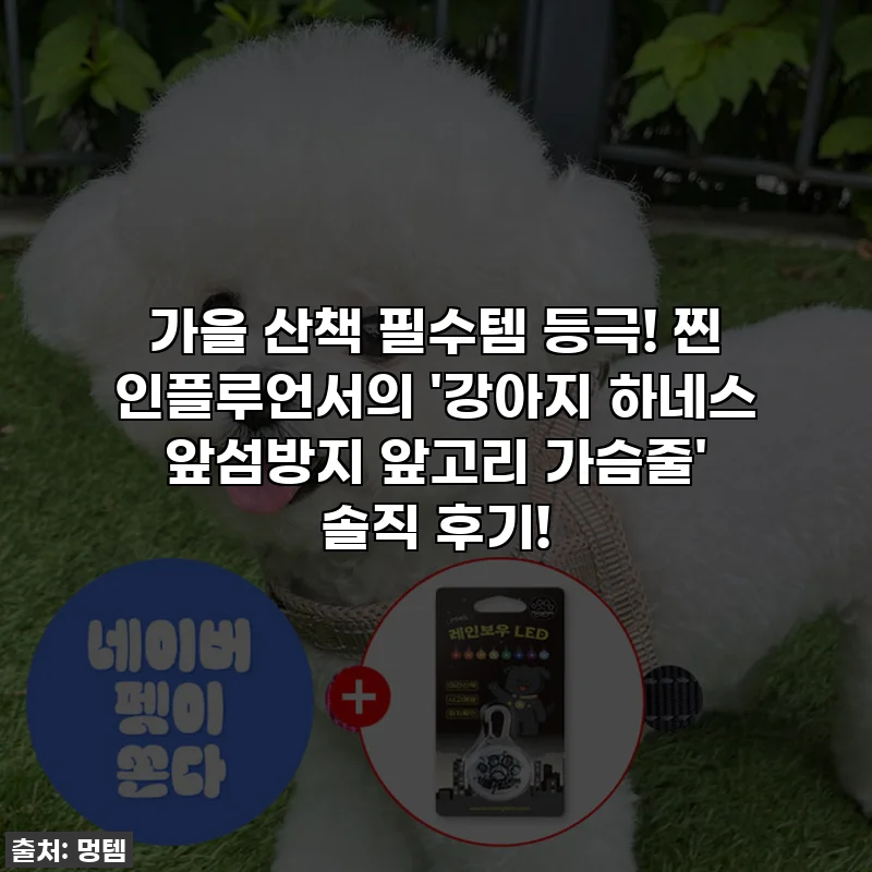 가을 산책 필수템 등극! 찐 인플루언서의 '강아지 하네스 앞섬방지 앞고리 가슴줄' 솔직 후기!