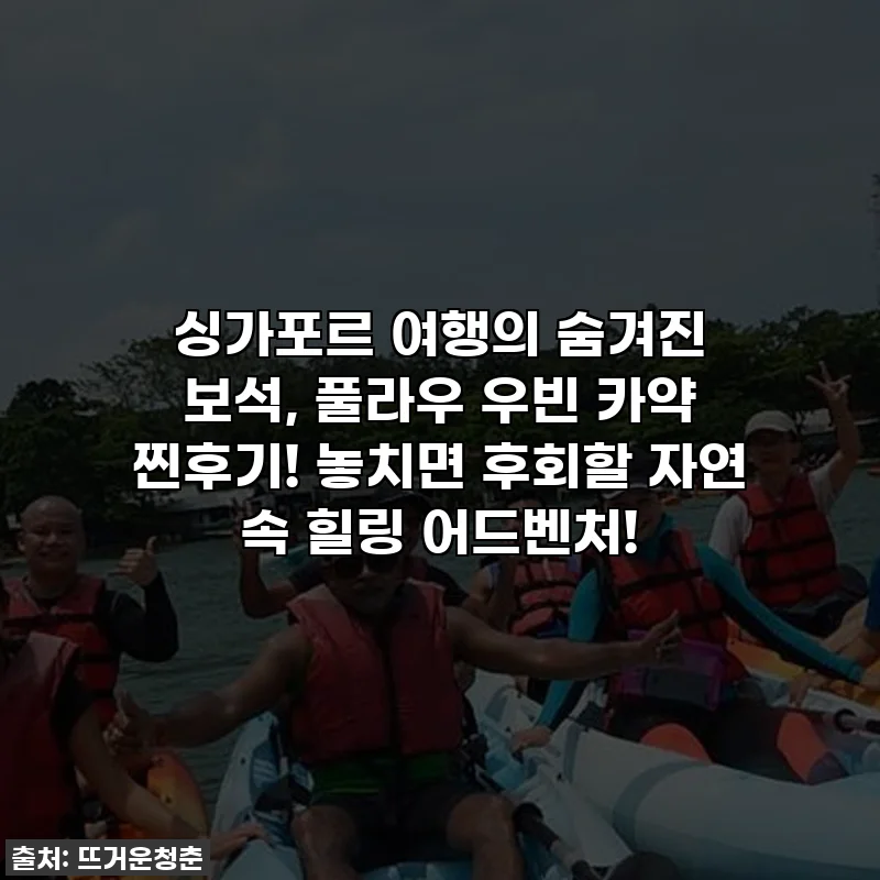 싱가포르 여행의 숨겨진 보석, 풀라우 우빈 카약 찐후기! 놓치면 후회할 자연 속 힐링 어드벤처!