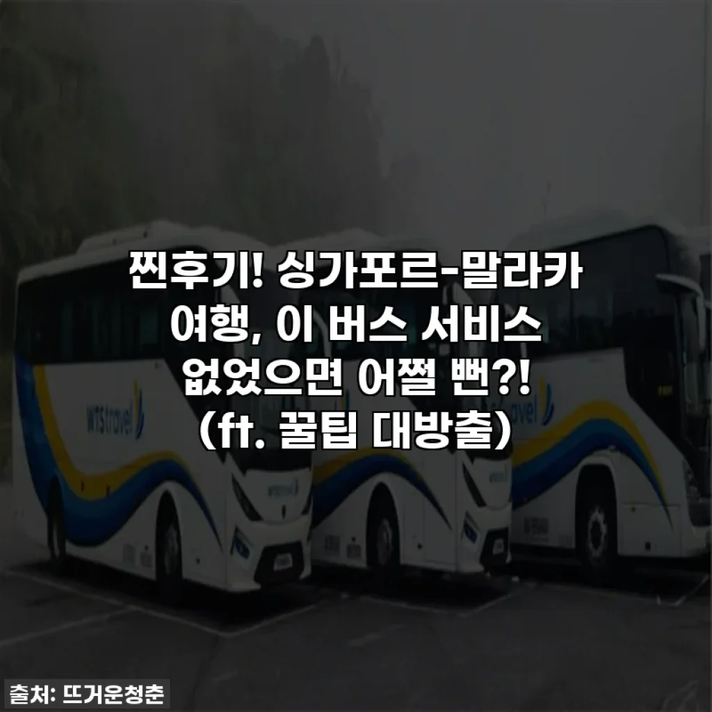 찐후기! 싱가포르-말라카 여행, 이 버스 서비스 없었으면 어쩔 뻔?! (ft. 꿀팁 대방출)