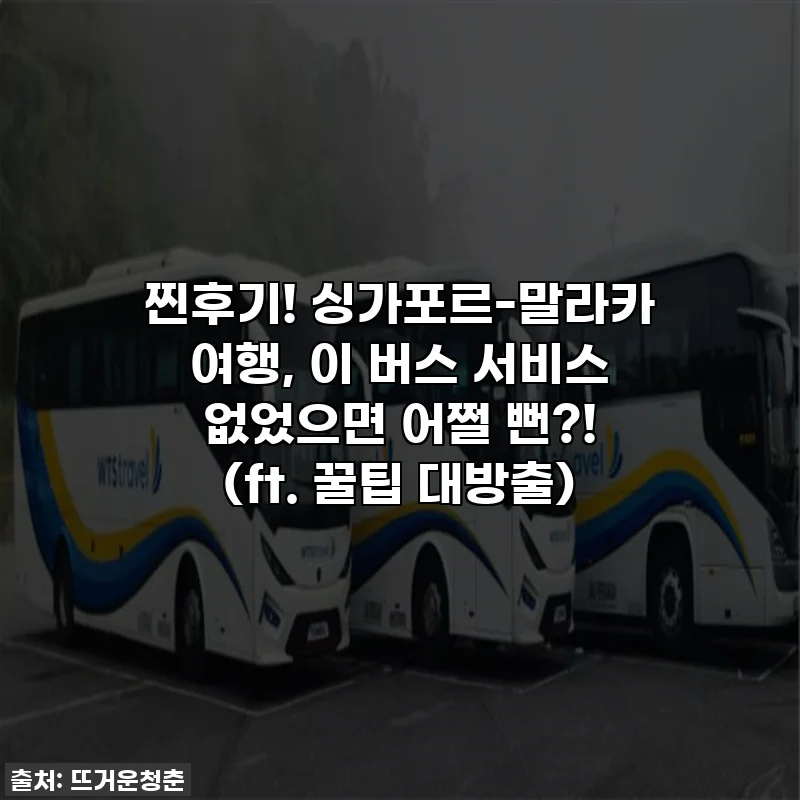 찐후기! 싱가포르-말라카 여행, 이 버스 서비스 없었으면 어쩔 뻔?! (ft. 꿀팁 대방출)