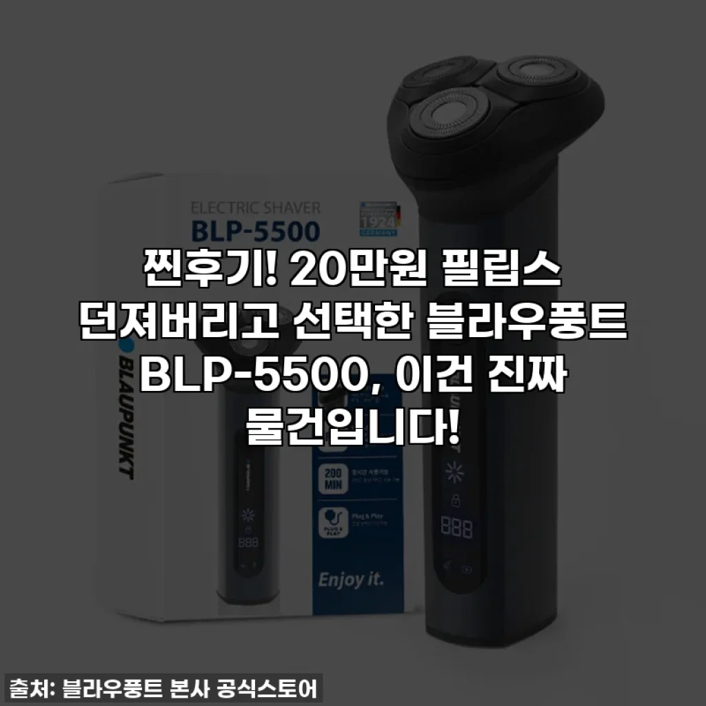 찐후기! 20만원 필립스 던져버리고 선택한 블라우풍트 BLP-5500, 이건 진짜 물건입니다!