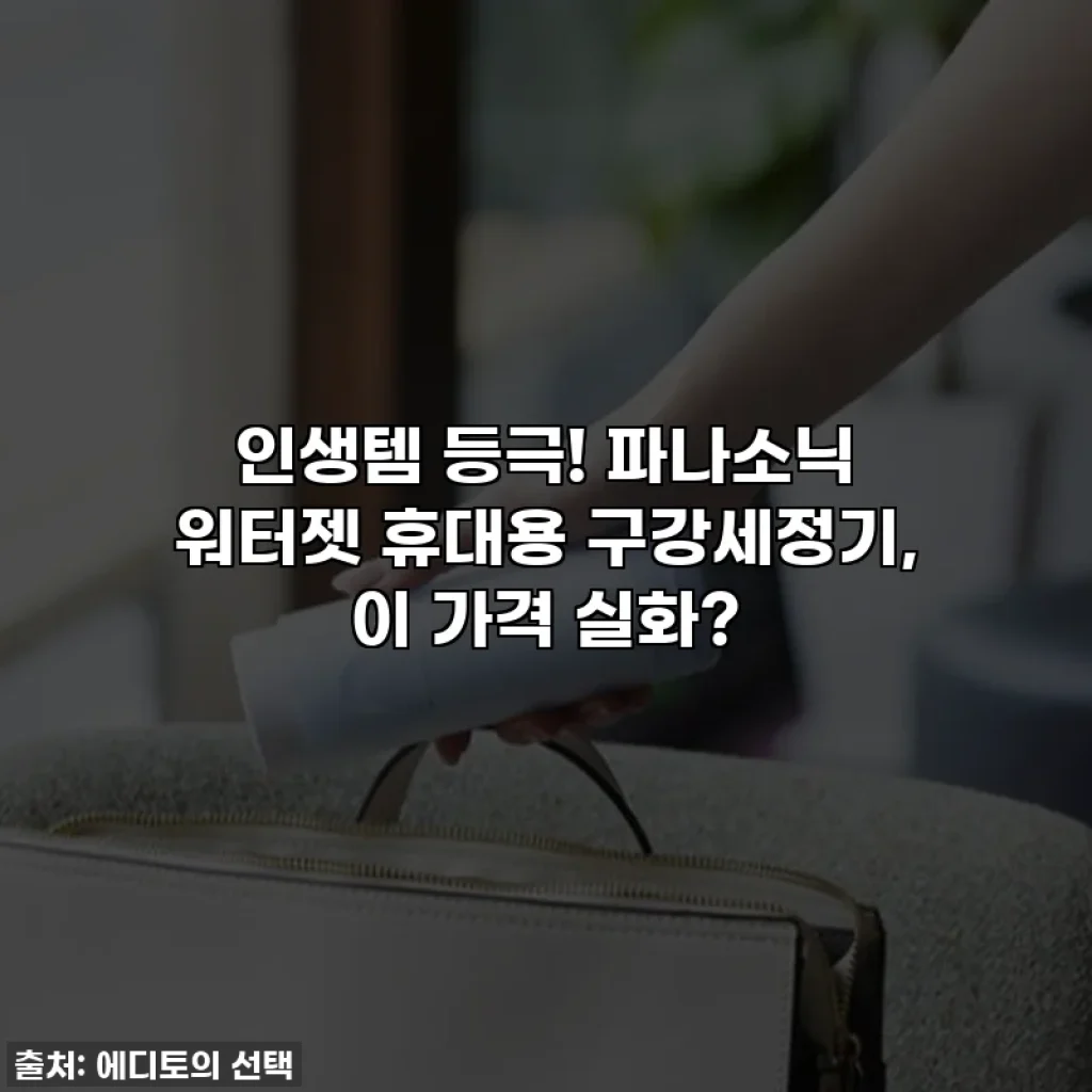 인생템 등극! 파나소닉 워터젯 휴대용 구강세정기, 이 가격 실화?