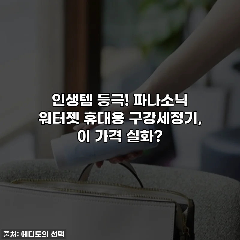 인생템 등극! 파나소닉 워터젯 휴대용 구강세정기, 이 가격 실화?