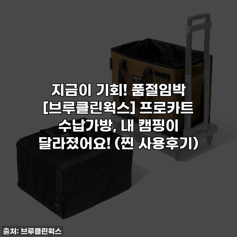 지금이 기회! 품절임박 [브루클린웍스] 프로카트 수납가방, 내 캠핑이 달라졌어요! (찐 사용후기)