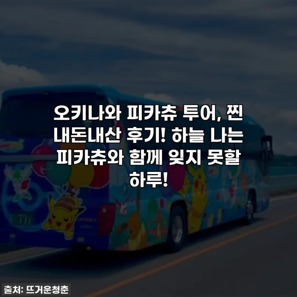 오키나와 피카츄 투어, 찐 내돈내산 후기! 하늘 나는 피카츄와 함께 잊지 못할 하루!