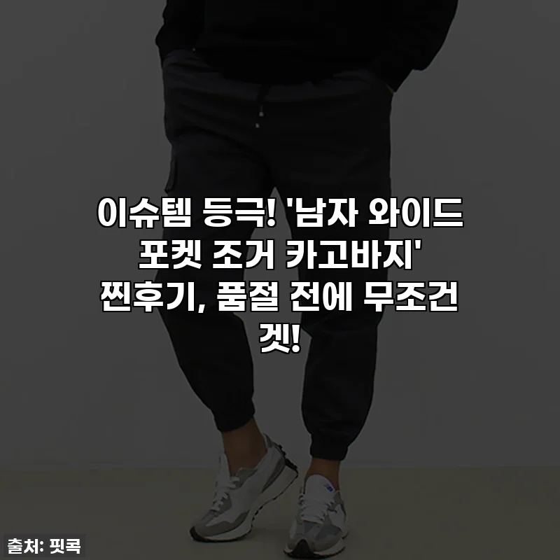 이슈템 등극! '남자 와이드 포켓 조거 카고바지' 찐후기, 품절 전에 무조건 겟!