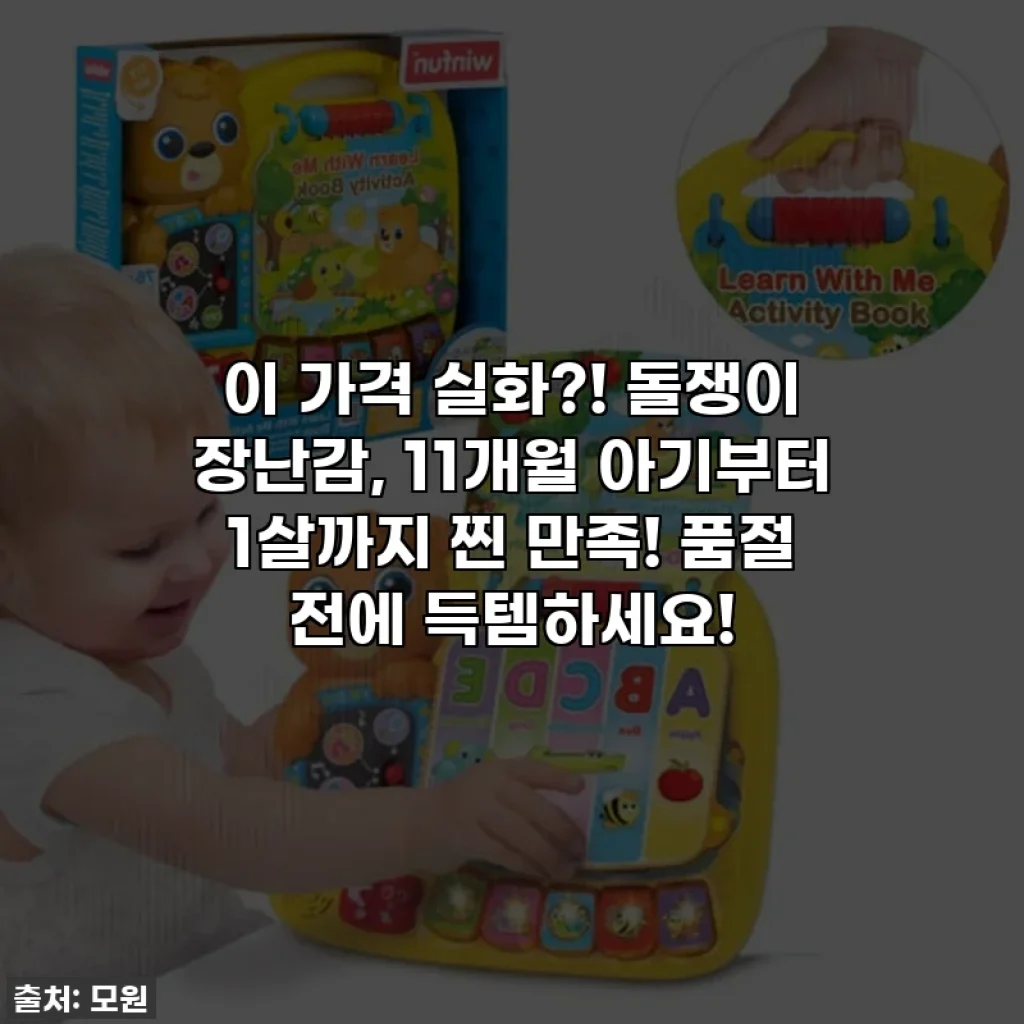 이 가격 실화?! 돌쟁이 장난감, 11개월 아기부터 1살까지 찐 만족! 품절 전에 득템하세요!