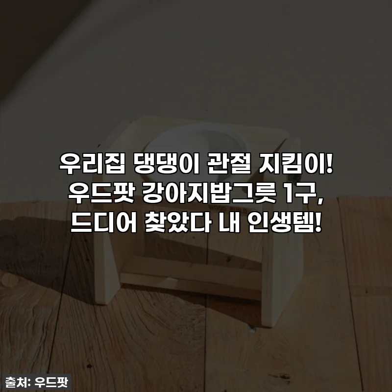 우리집 댕댕이 관절 지킴이! 우드팟 강아지밥그릇 1구, 드디어 찾았다 내 인생템!