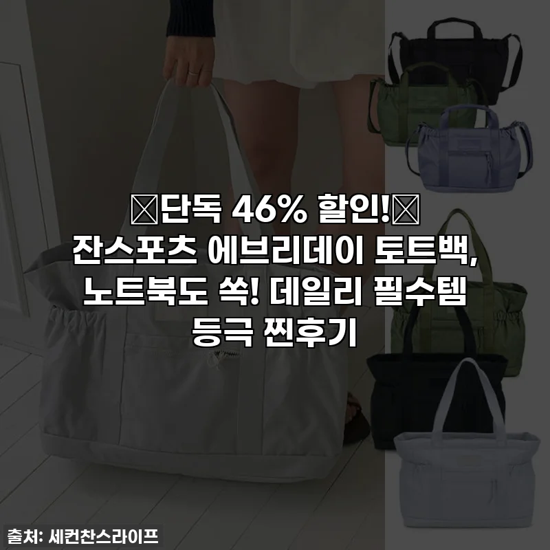 🔥단독 46% 할인!🔥 잔스포츠 에브리데이 토트백, 노트북도 쏙! 데일리 필수템 등극 찐후기