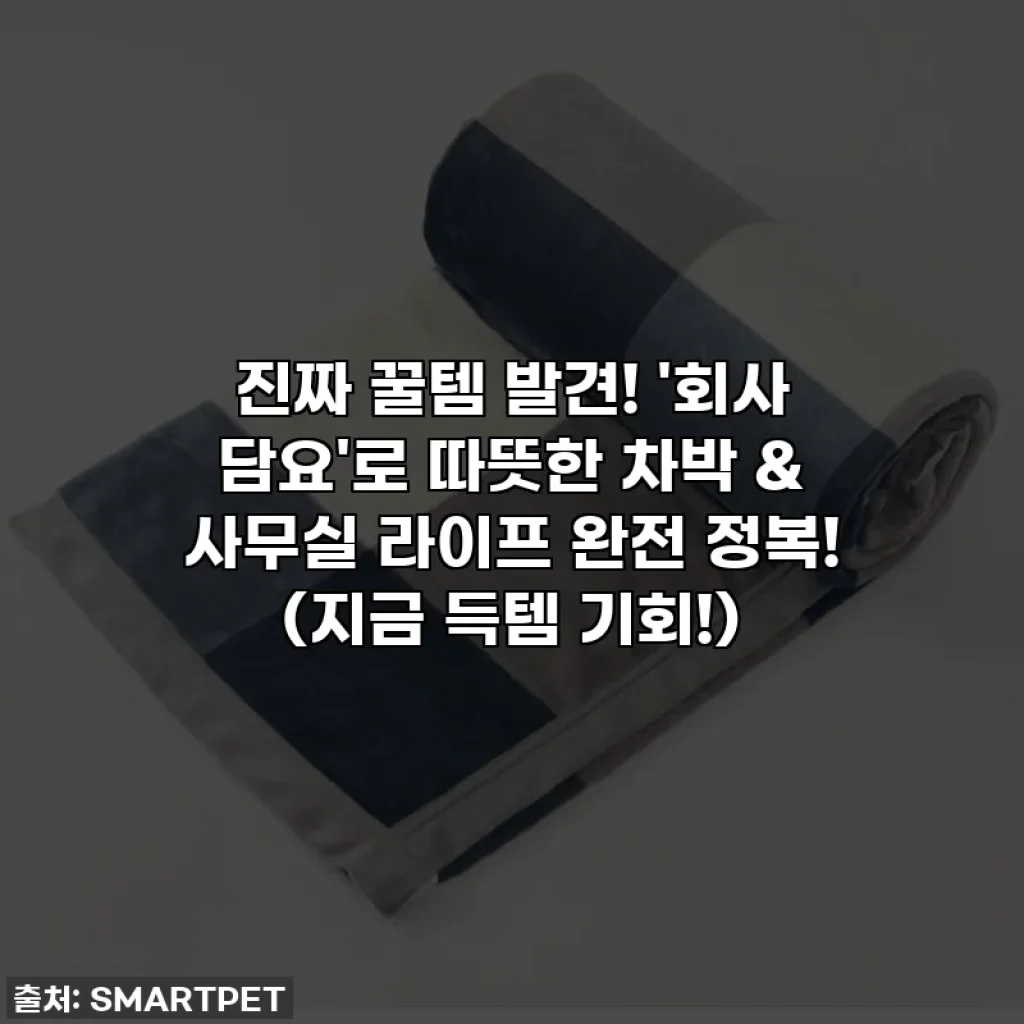 진짜 꿀템 발견! '회사 담요'로 따뜻한 차박 & 사무실 라이프 완전 정복! (지금 득템 기회!)