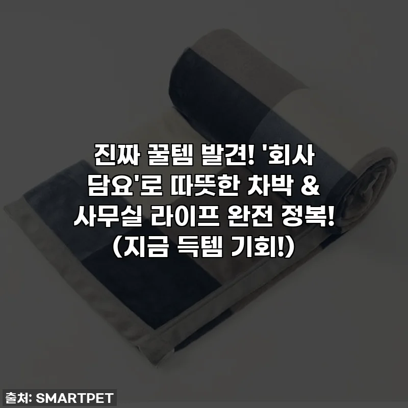 진짜 꿀템 발견! '회사 담요'로 따뜻한 차박 & 사무실 라이프 완전 정복! (지금 득템 기회!)