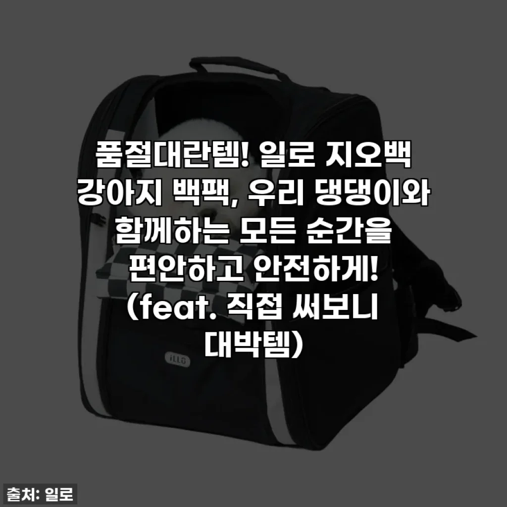 품절대란템! 일로 지오백 강아지 백팩, 우리 댕댕이와 함께하는 모든 순간을 편안하고 안전하게! (feat. 직접 써보니 대박템)