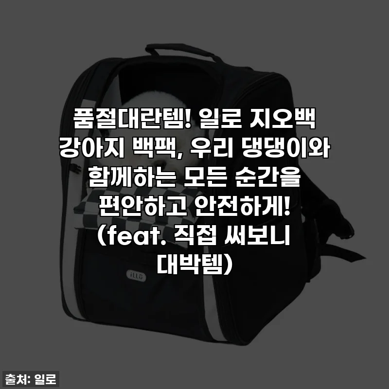 품절대란템! 일로 지오백 강아지 백팩, 우리 댕댕이와 함께하는 모든 순간을 편안하고 안전하게! (feat. 직접 써보니 대박템)