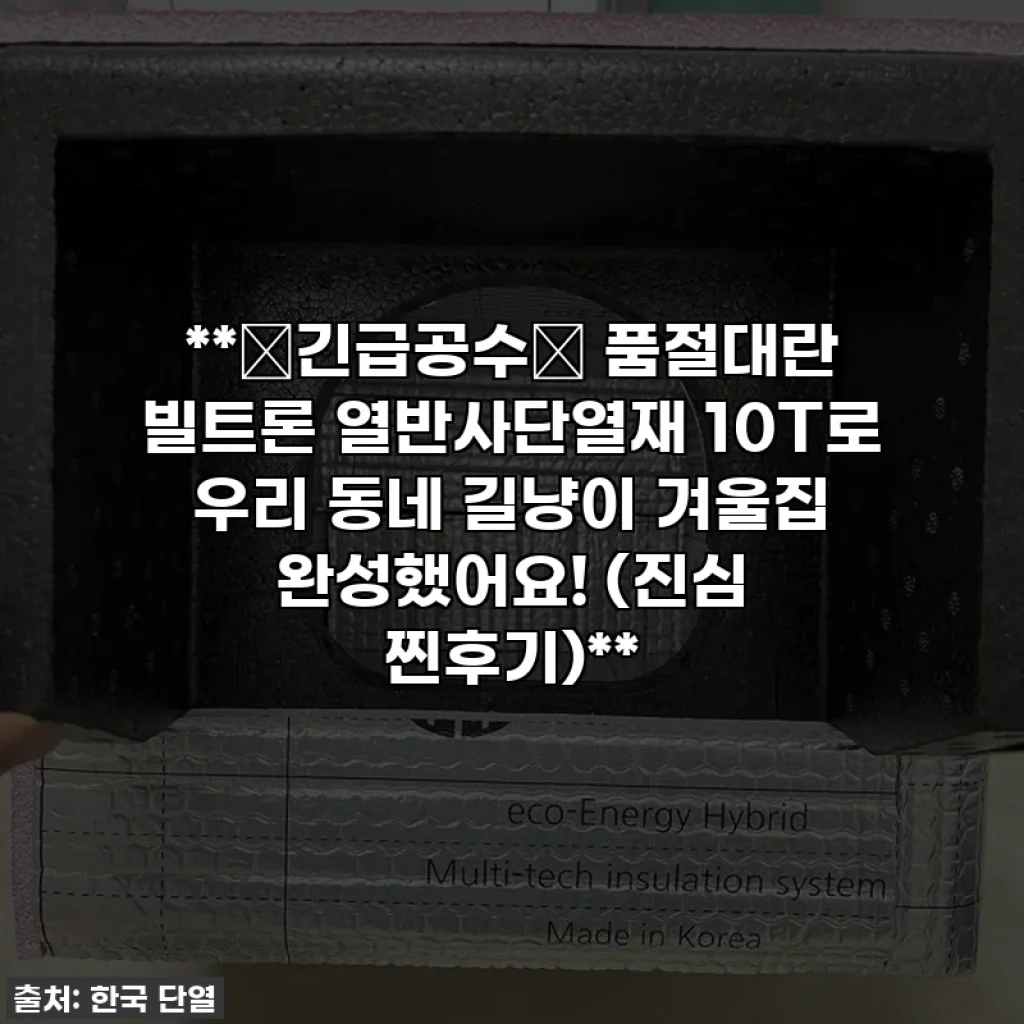 **🚨긴급공수🚨 품절대란 빌트론 열반사단열재 10T로 우리 동네 길냥이 겨울집 완성했어요! (진심 찐후기)**