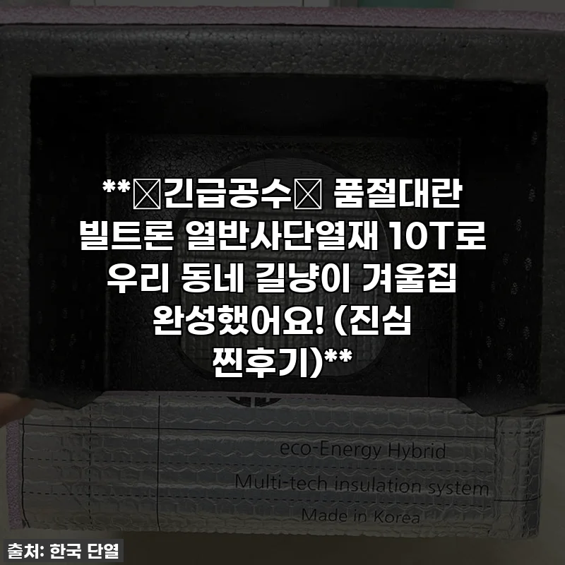**🚨긴급공수🚨 품절대란 빌트론 열반사단열재 10T로 우리 동네 길냥이 겨울집 완성했어요! (진심 찐후기)**