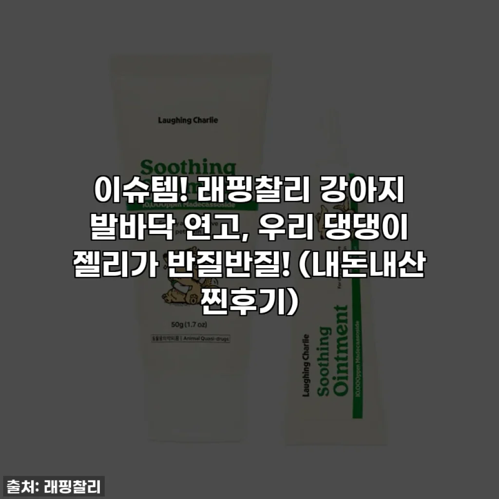 이슈템! 래핑찰리 강아지 발바닥 연고, 우리 댕댕이 젤리가 반질반질! (내돈내산 찐후기)
