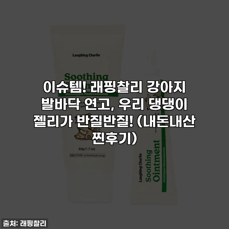 이슈템! 래핑찰리 강아지 발바닥 연고, 우리 댕댕이 젤리가 반질반질! (내돈내산 찐후기)