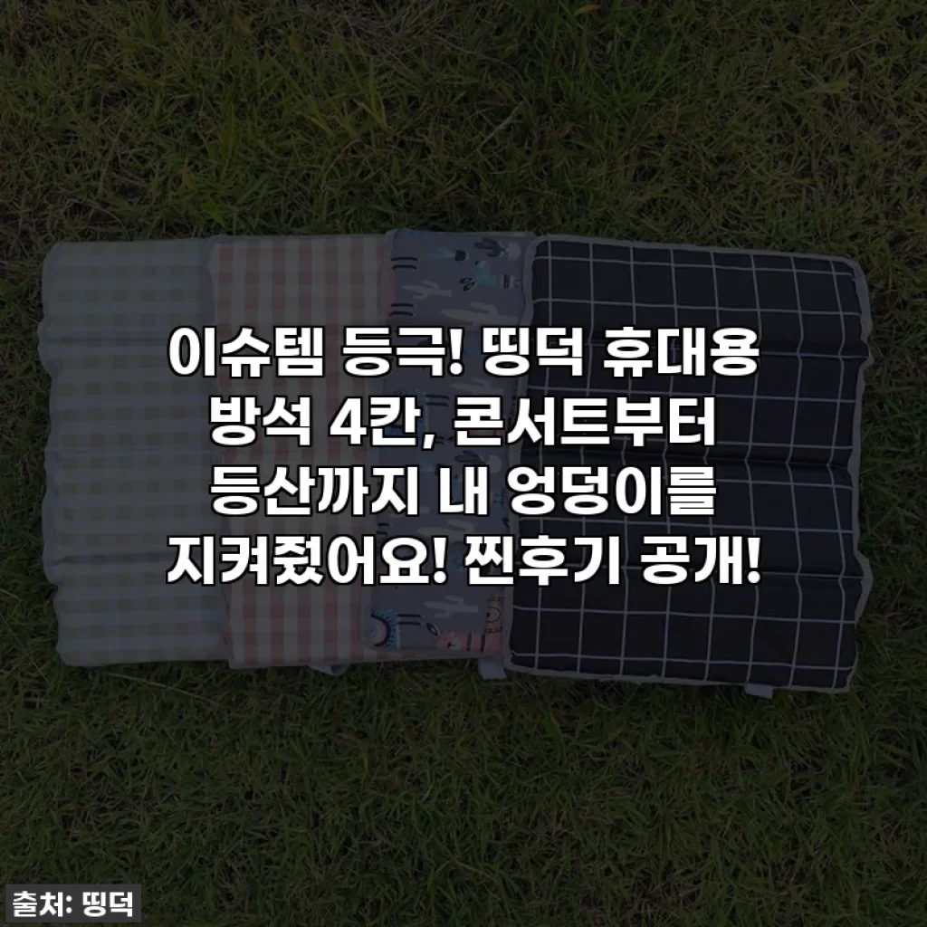 이슈템 등극! 띵덕 휴대용 방석 4칸, 콘서트부터 등산까지 내 엉덩이를 지켜줬어요! 찐후기 공개!