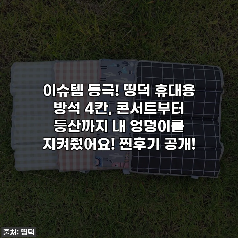 이슈템 등극! 띵덕 휴대용 방석 4칸, 콘서트부터 등산까지 내 엉덩이를 지켜줬어요! 찐후기 공개!