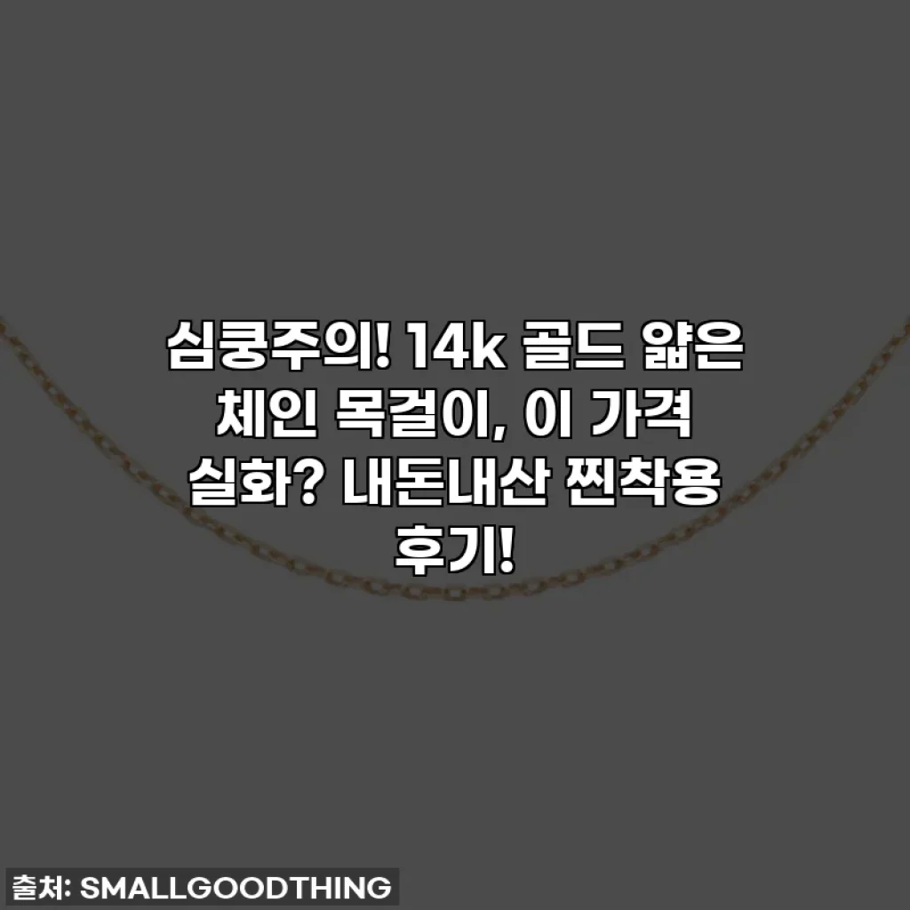 심쿵주의! 14k 골드 얇은 체인 목걸이, 이 가격 실화? 내돈내산 찐착용 후기!